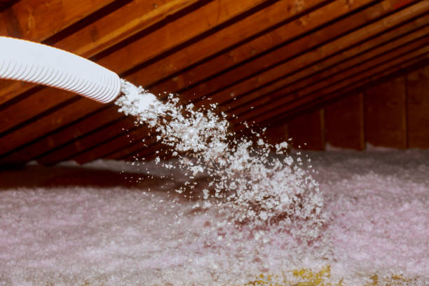 Best Cellulose Insulation in Modesto, CA